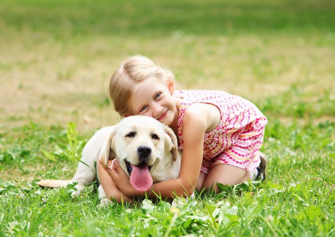 Як визначити алергію на собаку в дитини?